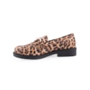 071-RS22L-Leopardo3_1-3