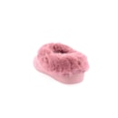 071-CH85-Rosa3_1-3