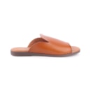 071-JB08-Camel2_1-2