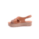 162-007-2212-Camel3_1-3