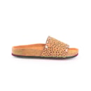 252Y-21063-Leopardo2_1-2