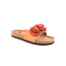 294-PR2015-Laranja1_1-1