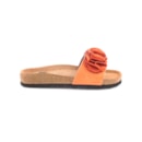 294-PR2015-Laranja2_1-2