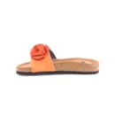 294-PR2015-Laranja3_1-3