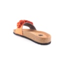 294-PR2015-Laranja4_1-4