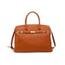 B01-GB11015-Camel1_1-1