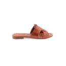 082-785-Camel2_1-2