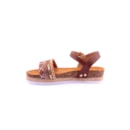 252Y-24094-Camel3_1-3
