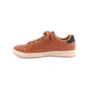 292A-210946-Camel3_1-3