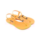 007-IP-21-005-Camel3_1-3