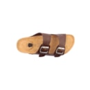 294-PR1060-CE-Castanho6_1-6