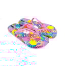 007-IP-19-023-Br-Rosa4_1-4