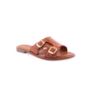 082-1608-Camel1_1-1