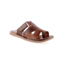045-201-152-Camel1_1-1