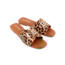 071-SN08-Leopardo4_1-4