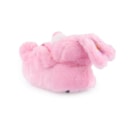 007-IS-16-005-Rosa1_1-1