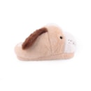 061-2210280-Beje2_1-2